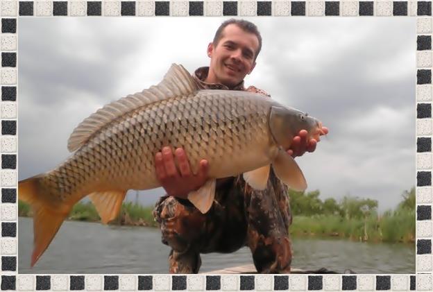 Best Off - 230769185856161462193100001134314189447994212411n.jpg